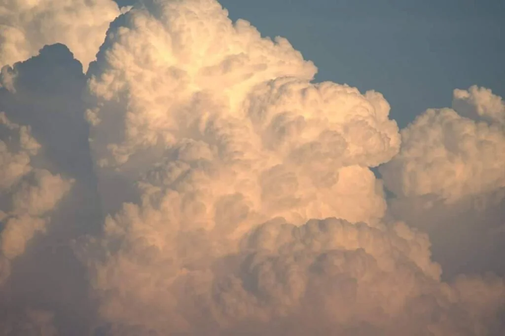 12842463_1046568648718235_1031680340_o